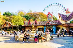 Tour du lịch HÀN QUỐC Mùa Thu - KHÁM PHÁ MÙA THU HÀN QUỐC  SEOUL – ĐẢO NAMI – EVERLAND JEJU AIR