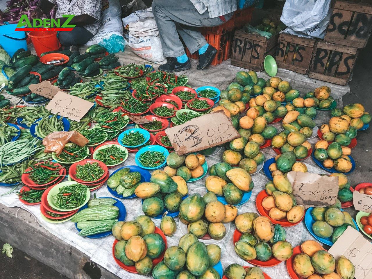 ĐÓN TẾT GIÁP THÌN 2024 TẠI CHÂU ĐẠI DƯƠNG