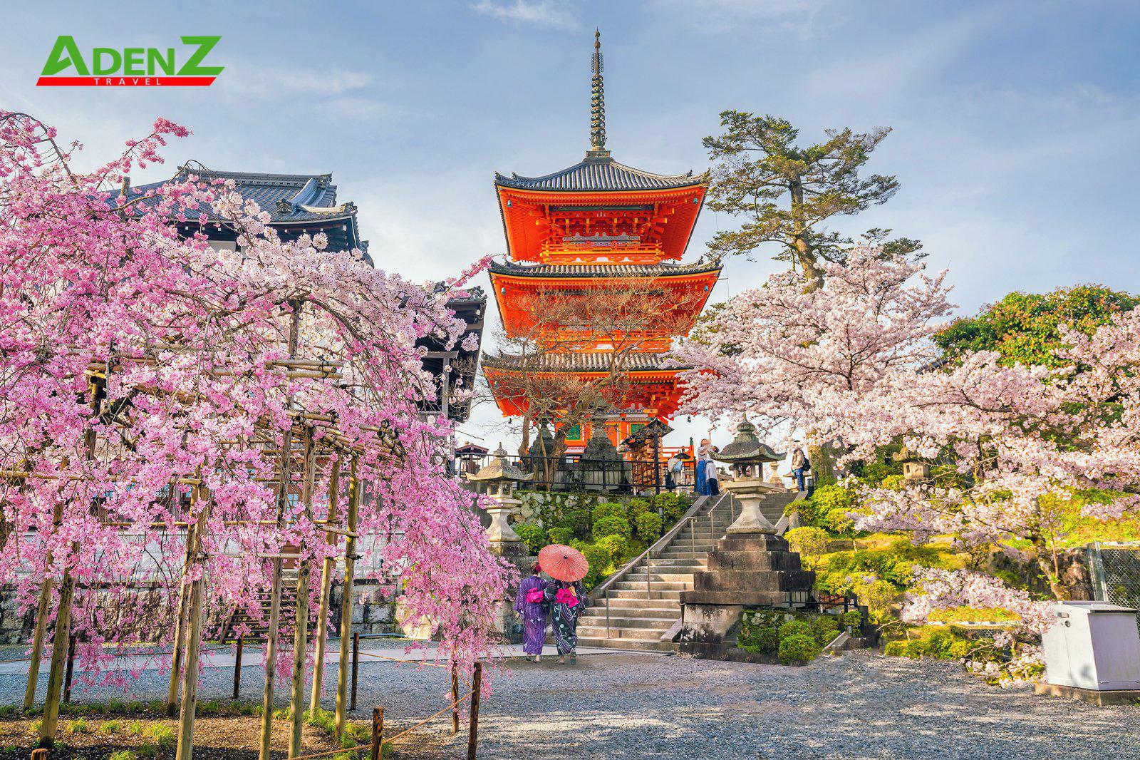 CHƯƠNG TRÌNH TOUR NHẬT BẢN CUNG ĐƯỜNG VÀNG MÙA HOA ANH ĐÀO OSAKA – KOBE – KYOTO – FUJI – TOKYO THÁNG 3