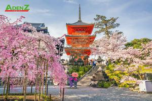 CHƯƠNG TRÌNH TOUR NHẬT BẢN CUNG ĐƯỜNG VÀNG MÙA HOA ANH ĐÀO OSAKA – KOBE – KYOTO – FUJI – TOKYO THÁNG 3