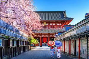 CHƯƠNG TRÌNH TOUR NHẬT BẢN CUNG ĐƯỜNG VÀNG MÙA HOA ANH ĐÀO OSAKA – KOBE – KYOTO – FUJI – TOKYO THÁNG 3