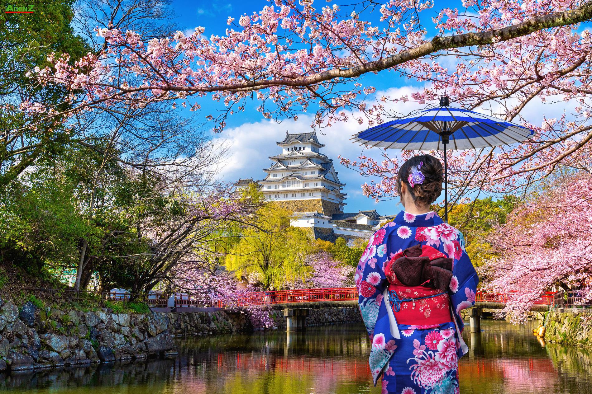 CHƯƠNG TRÌNH TOUR NHẬT BẢN  CUNG ĐƯỜNG VÀNG MÙA HOA ANH ĐÀO TOKYO – HAKONE – YAMANASHI – FUJI – NAGOYA - OSAKA THÁNG 4