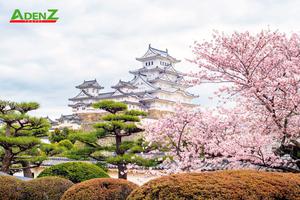 CHƯƠNG TRÌNH TOUR NHẬT BẢN  CUNG ĐƯỜNG VÀNG MÙA HOA ANH ĐÀO TOKYO – HAKONE – YAMANASHI – FUJI – NAGOYA - OSAKA THÁNG 4