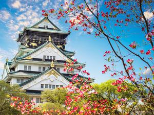 TOUR NHẬT BẢN LỄ 30/4  TOKYO – YAMANASHI – TOYOHASHI – KYOTO – OSAKA – KOBE