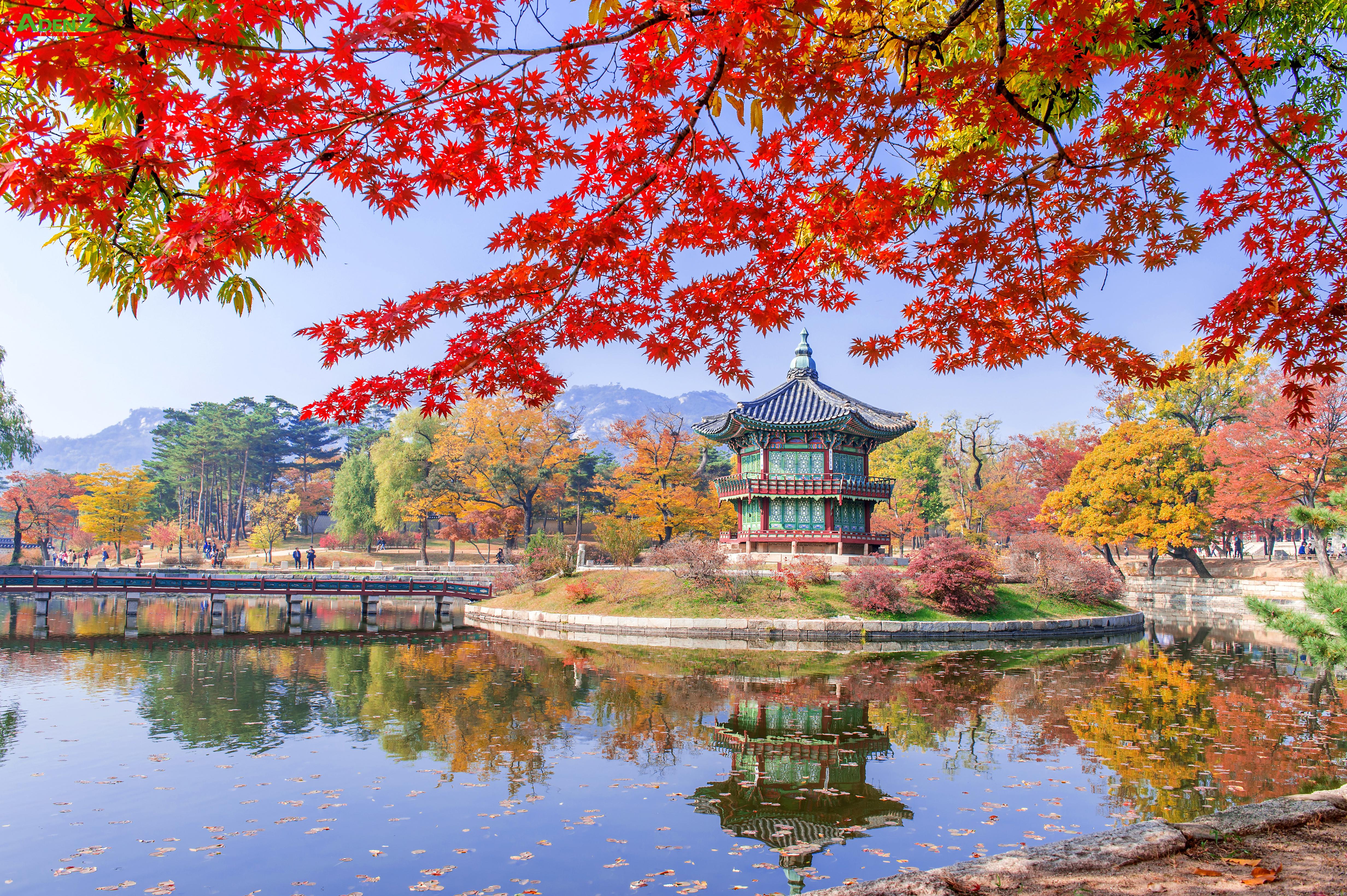 KHÁM PHÁ MÙA THU HÀN QUỐC SEOUL – NAMI – EVERLAND