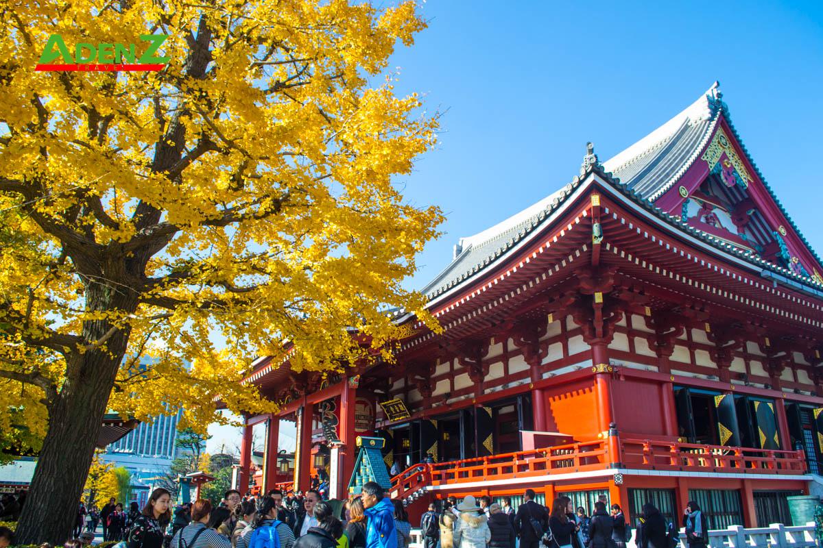 NHẬT BẢN CUNG ĐƯỜNG VÀNG MÙA THU TOKYO - HAKONE - YAMANASHI - FUJINAGOYA - OSAKA