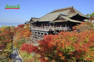 NHẬT BẢN CUNG ĐƯỜNG VÀNG MÙA THU TOKYO - HAKONE - YAMANASHI - FUJINAGOYA - OSAKA