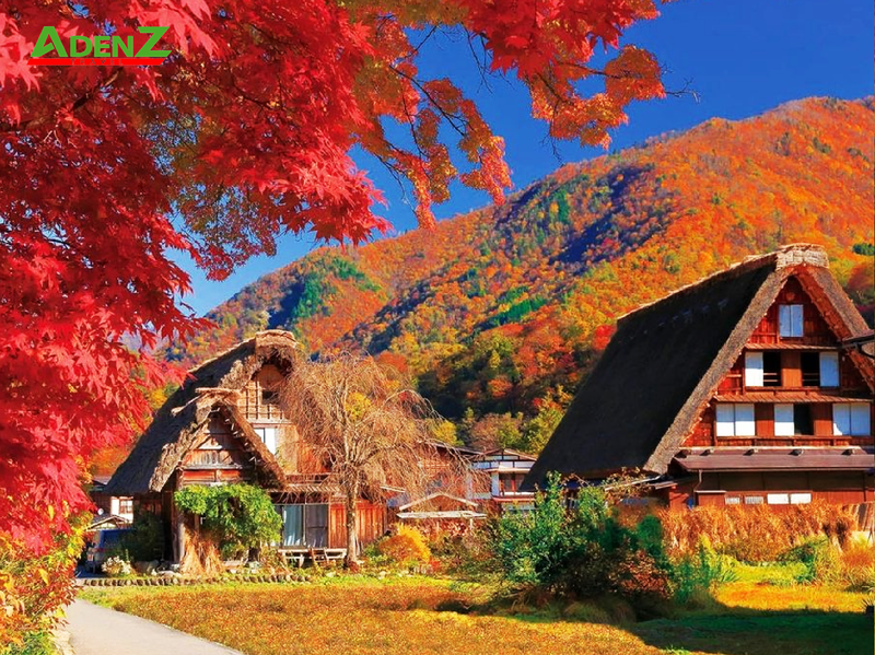 TOUR NHẬT BẢN CUNG ĐƯỜNG CỔ TÍCH MÙA THU - THAM QUAN LÀNG CỔ SHIRAKAWAGO