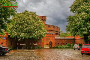 Kaliningrad Amber Museum - Bảo tàng hổ phách độc nhất vô nhị trên thế giới