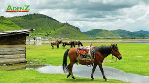 TOUR DU LỊCH TRUNG QUỐC LỆ GIANG - ĐẠI LÝ - SHANGRILA - NÚI TUYẾT NGỌC LONG