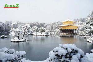 TOUR DU LỊCH NHẬT BẢN TUYẾN TOKYO – YAMANASHI – TOYOHASHI – KYOTO - OSAKA (MÙNG 2 TẾT)