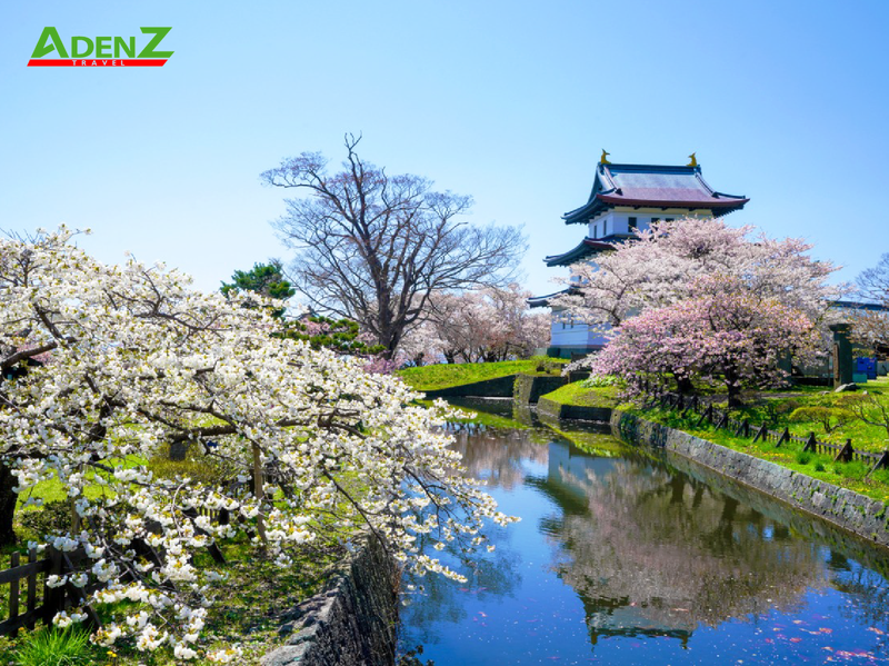 HÀNH TRÌNH SĂN HOA ANH ĐÀO TẠI HOKKAIDO - NHỮNG ĐỊA ĐIỂM KHÔNG THỂ BỎ QUA