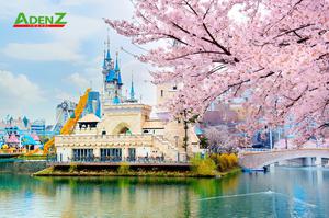 TOUR DU LỊCH HÀN QUỐC TUYẾN SEOUL – ĐẢO NAMI – EVERLAND NGẮM HOA ANH ĐÀO