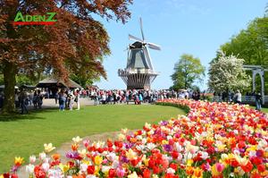 Lễ hội hoa tulip ở Hamburg, được biết đến với tên gọi "Hamburg Tulip Festival"