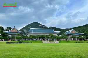 TOUR DU LỊCH HÀN QUỐC TUYẾN BUSAN - DAEGU - SEOUL MÙA HOA ANH ĐÀO