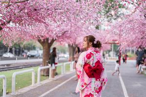 TOUR DU LỊCH NHẬT BẢN TUYẾN SHIZUOKA - YAMANASHI - FUJI - TOKYO MÙA HOA ANH ĐÀO