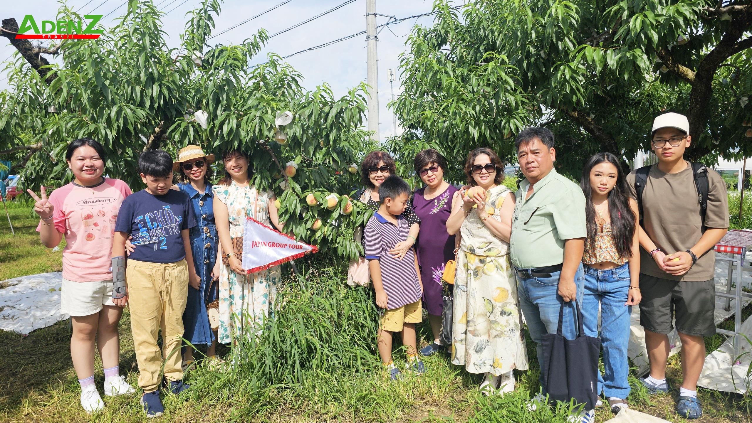 TOUR DU LỊCH NHẬT BẢN MÙA HÈ TUYẾN TOKYO - FUJI - NAGOYA - KYOTO - OSAKA 