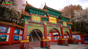TOUR DU LỊCH HÀN QUỐC MÙA THU TUYẾN SEOUL – ĐẢO NAMI – EVERLAND