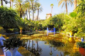 TOUR DU LỊCH MA RỐC VÀ QATAR TUYẾN CASABLANCA – RABAT – TANGIER – TETOUAN – CHEFCHAOUEN – FES – IFRANE – BENI MELLAL – MARRAKECH – DOHA