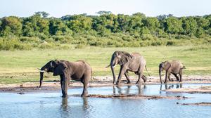 TOUR DU LỊCH ZIMBABWE EXPLORER - VICTORIA FALLS – CÔNG VIÊN QUỐC GIA ZAMBEZI, HWANGE, MATOBO – DI TÍCH ĐẠI ZIMBABWE – HARARE