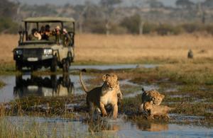 TOUR DU LỊCH ULTIMATE ZIMBABWE & BOTSWANA - VICTORIA FALLS - CÔNG VIÊN QUỐC GIA ZAMBEZI, CHOBE, MAKGADIKGADI PANS - KHU BẢO TỒN ELEPHANT SANDS - ĐỒNG BẰNG OKAVANGO