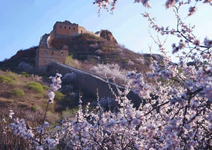 TOUR DU LỊCH TRUNG QUỐC TUYÉN BẮC KINH - TÔ CHÂU - HÀNG CHÂU - THƯỢNG HẢI