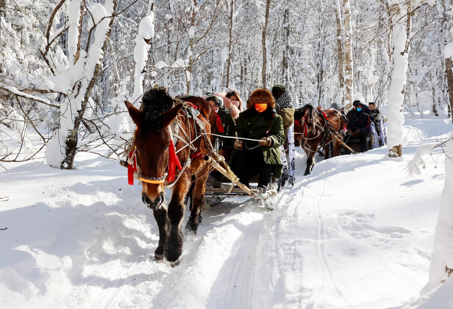 TOUR DU LỊCH TRUNG QUỐC TUYẾN CÁP NHĨ TÂN - Á BỐ LỰC - TUYẾT HƯƠNG