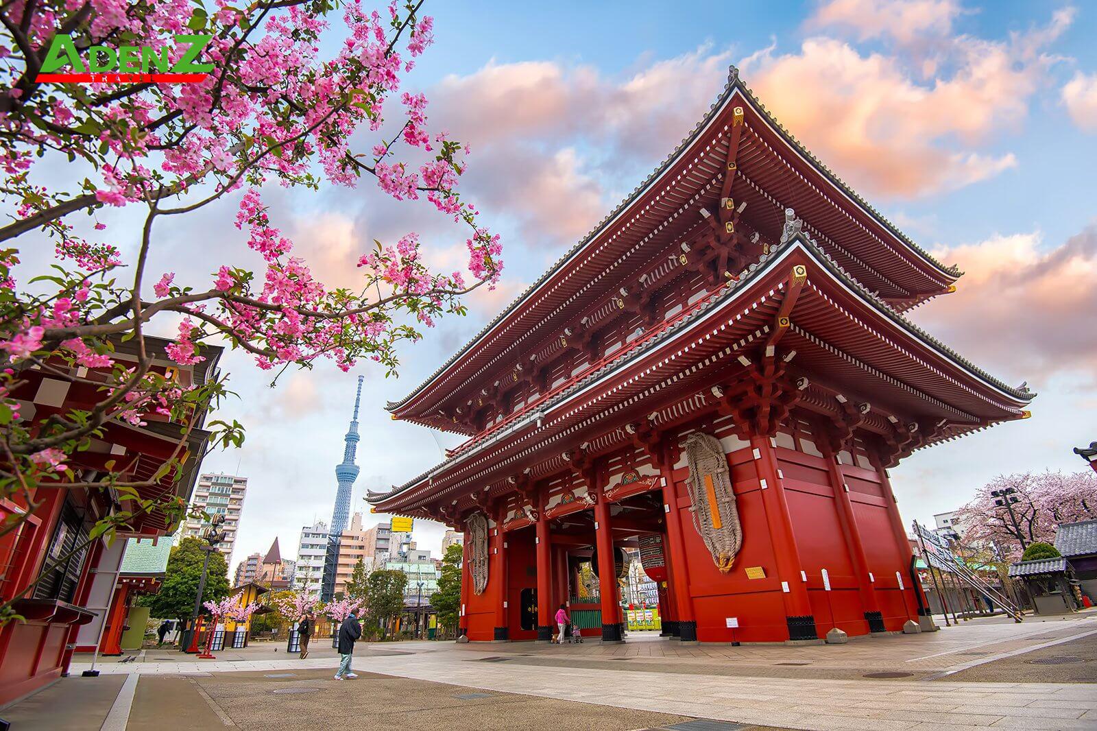TOUR DU LỊCH NHẬT BẢN MÙA HOA ANH ĐÀO TUYẾN TOKYO – FUJI- TOYOHASHI – KYOTO– OSAKA