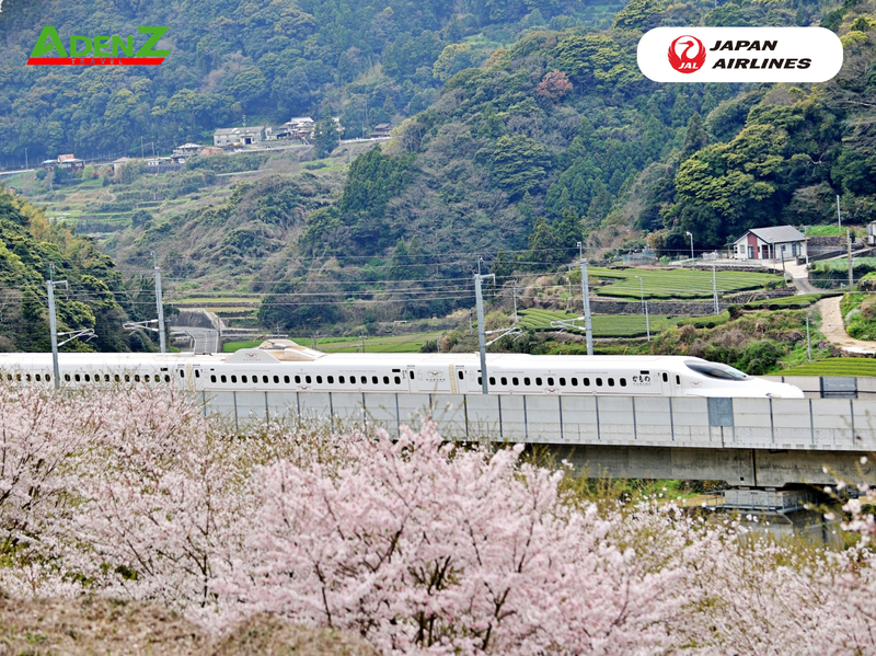 TOUR DU LỊCH NHẬT BẢN CUNG ĐƯỜNG VÀNG MÙA HOA ANH ĐÀO