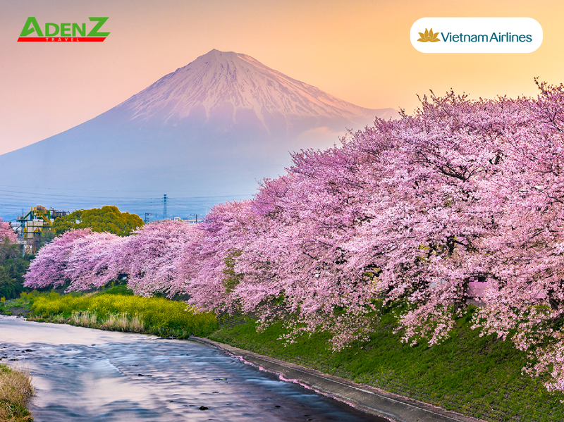 TOUR DU LỊCH NHẬT BẢN MÙA HOA ANH ĐÀO TUYẾN TOKYO - FUJI - NAGOYA - KYOTO - OSAKA