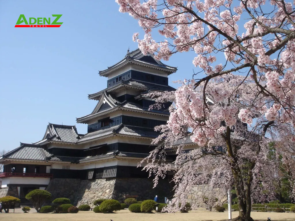 TOUR DU LỊCH NHẬT BẢN MÙA HOA ANH ĐÀO TUYẾN TOKYO - YAMANASHI - SHIZUOKA - SHIRAKAWAGO - NAGOYA