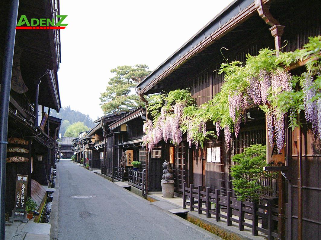 TOUR DU LỊCH NHẬT BẢN MÙA HOA ANH ĐÀO TUYẾN TOKYO - YAMANASHI - SHIZUOKA - SHIRAKAWAGO - NAGOYA