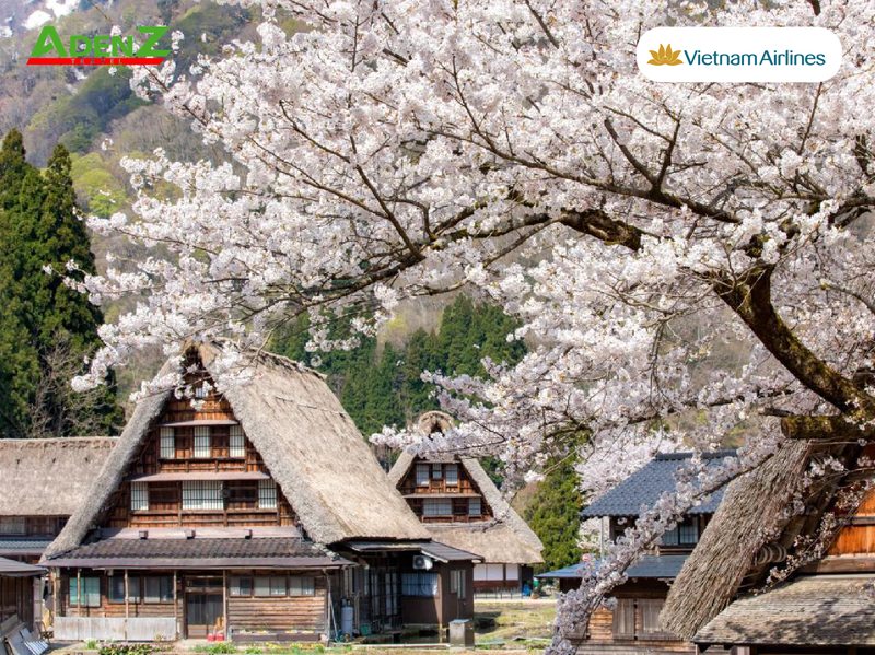 TOUR DU LỊCH NHẬT BẢN MÙA HOA ANH ĐÀO TUYẾN TOKYO - YAMANASHI - SHIZUOKA - SHIRAKAWAGO - NAGOYA
