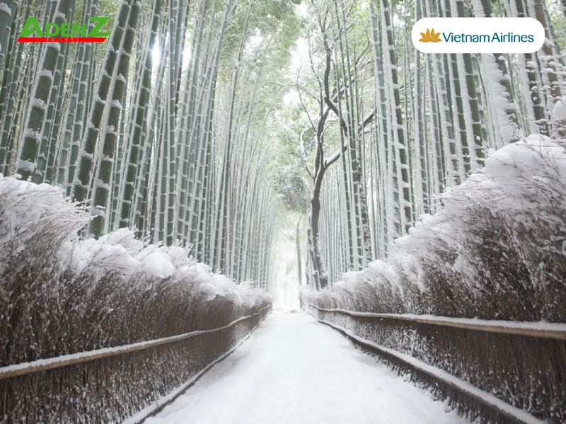 TOUR DU LỊCH NHẬT BẢN TRƯỢT TUYẾT & NGẮM HOA KAWAZU