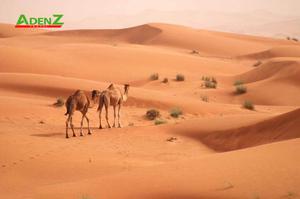 TOUR DU LỊCH DUBAI TUYẾN DUBAI - ABU DHABI