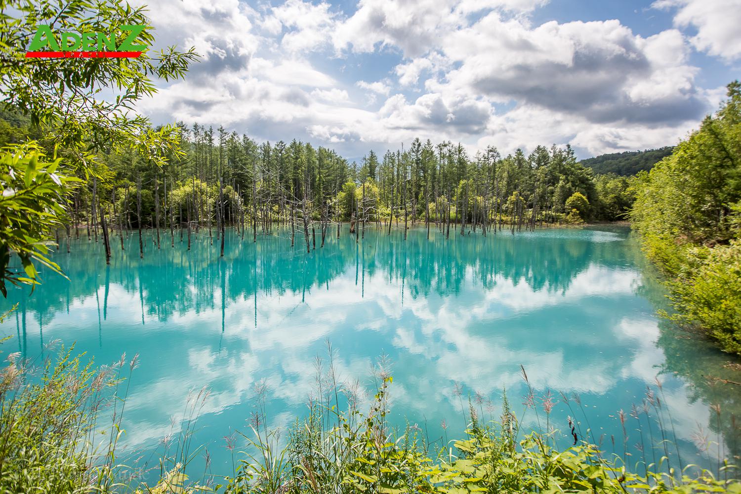 TOUR DU LỊCH NHẬT BẢN MÙA HÈ KHÁM PHÁ HOKKAIDO